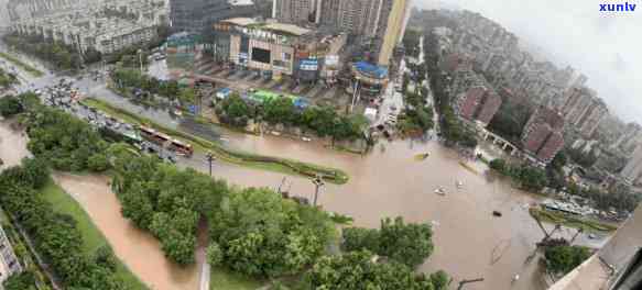 暴雨过后的巩义市翡翠江景城，暴雨洗礼后，巩义市翡翠江景城展现出别样风貌