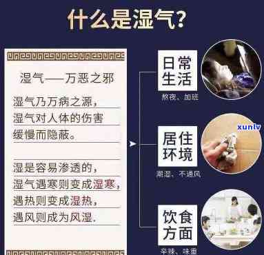 祛湿茶可不可以天天喝？每日饮用量应如何控制？