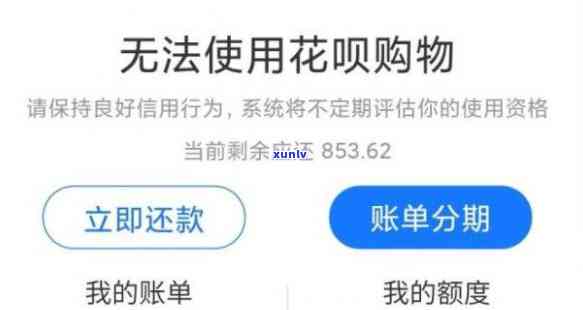 借呗逾期为什么显示无法采用花呗购物，为何借呗逾期会引起无法采用花呗购物？起因解析