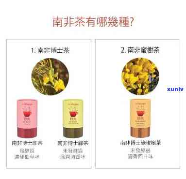 南非博士茶的十大功效：适合糖尿病人群饮用吗？了解其作用与好处