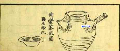 煎茶适合什么人，煎茶：适合哪些人群饮用？