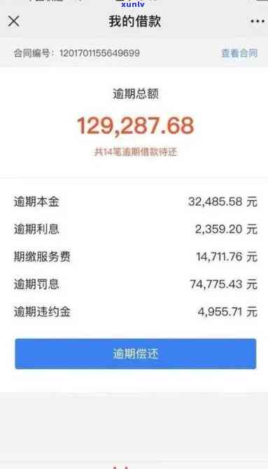 欠信用卡的钱无力偿还的案例分析-欠信用卡的钱无力偿还的案例分析报告