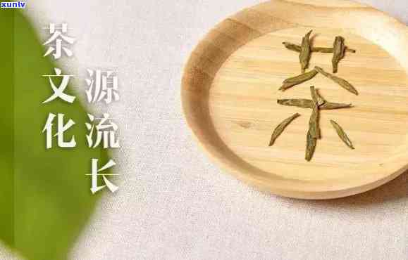 之一道茶是什么意思，探秘文化内涵：之一道茶的含义解析