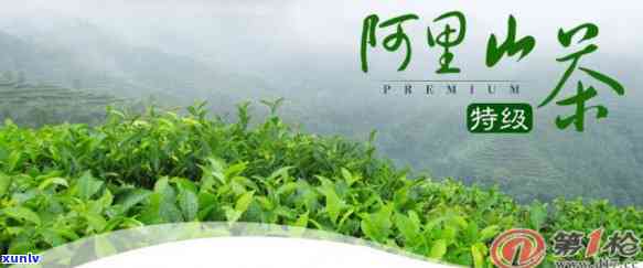 阿里山茶什么节喝，何时品尝？探讨阿里山茶叶的饮用节