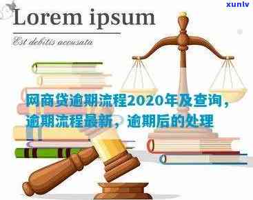 2020网商贷逾期起诉案件查询：熟悉您的法律风险与权益