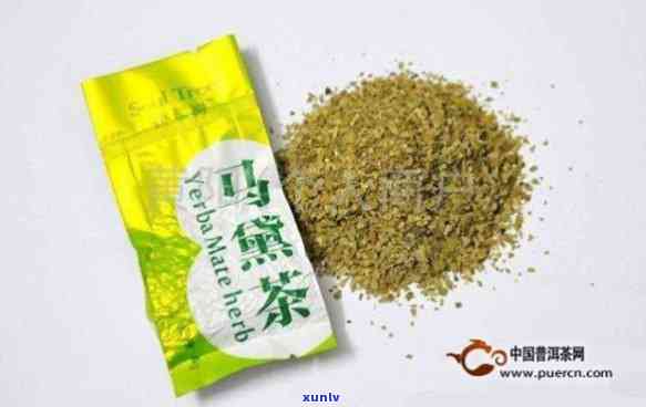 拉纳马黛茶的功效：揭示神秘植物的健益处