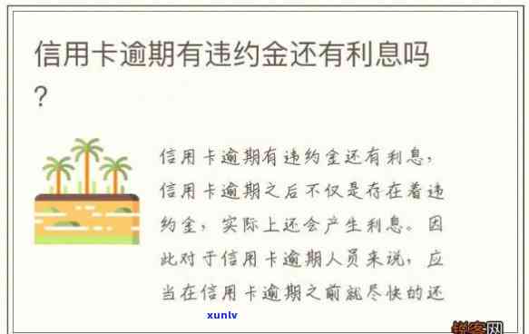 5万信用卡一个月利息加违约金吗，如何计算5万元信用卡的每月利息和违约金？