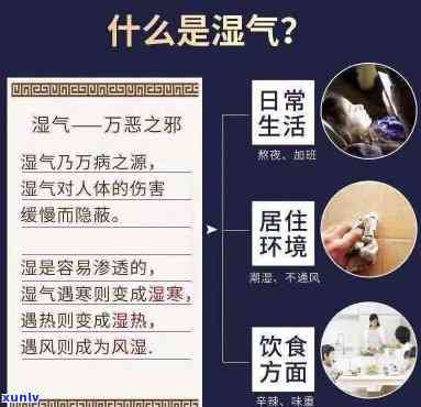 古方湿茶的禁忌：了解其副作用与注意事