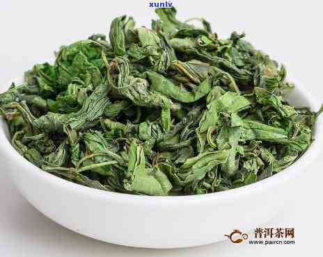 百结叶茶什么时节喝好，何时品尝？探讨百结叶茶的适宜饮用节