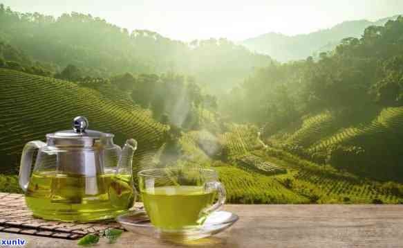 减肥茶饭前喝好还是饭后喝好，减肥茶：饭前喝好还是饭后喝好？