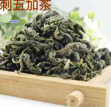 刺五加茶什么时候喝，饮用时间：刺五加茶的黄金时