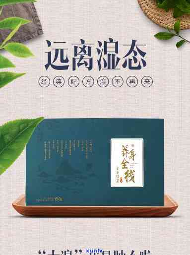 古方湿茶什么时候喝，何时喝古方湿茶？时间节点解析