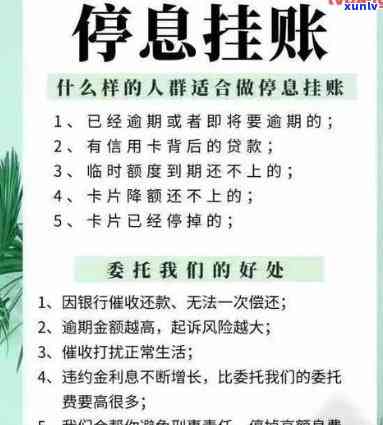 发信用卡停息挂账政策最新消息查询官方渠道一览