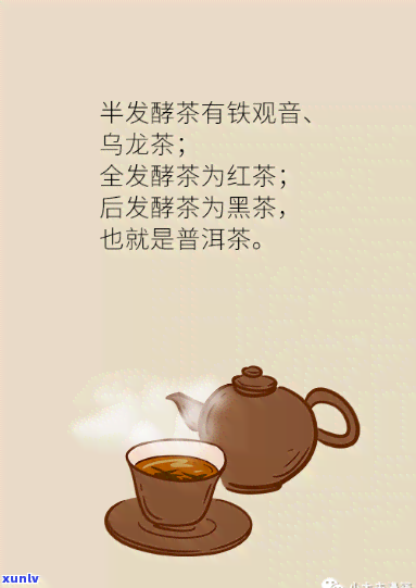 喝茶有什么好处，探索茶的神奇功效：让你受益无穷！