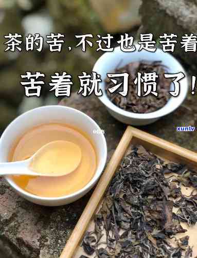 茶苦为什么还喜欢喝-茶苦为什么还喜欢喝呢