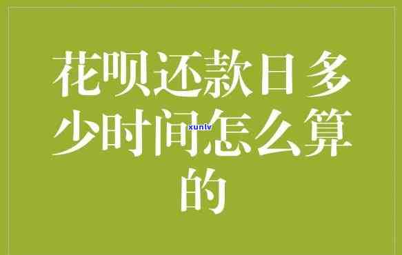 花呗多少利息花呗本月已更低还款，理解花呗：利息计算及本月更低还款选