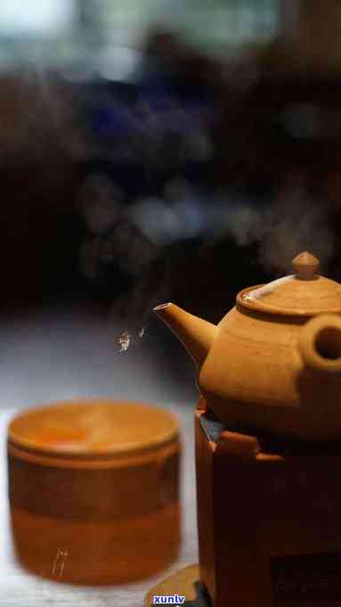 什么样的茶煮着喝好，煮茶宝典：什么样的茶最适合煮着喝？