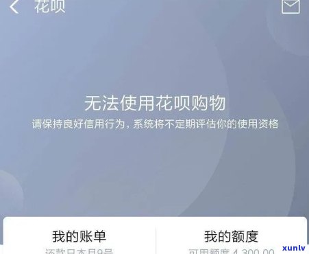 花呗借呗停息挂账是真的假的，真相揭秘：花呗借呗是不是真的可以停息挂账？