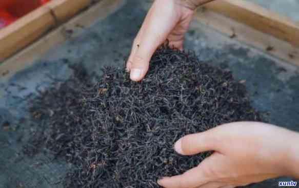 红茶是什么发酵程度茶，探究红茶的发酵程度：从零基础到专业解析