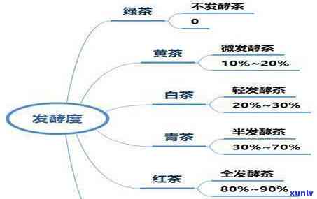 红茶是什么发酵程度茶，探究红茶的发酵程度：从零基础到专业解析