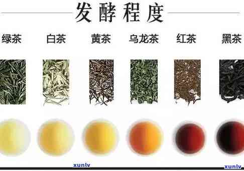 红茶是什么发酵程度-红茶是什么发酵程度茶