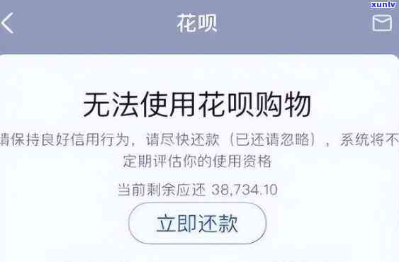 花呗能否协商减免？真能满足你的需求吗？