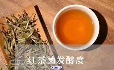 红茶菌发酵度和时间表