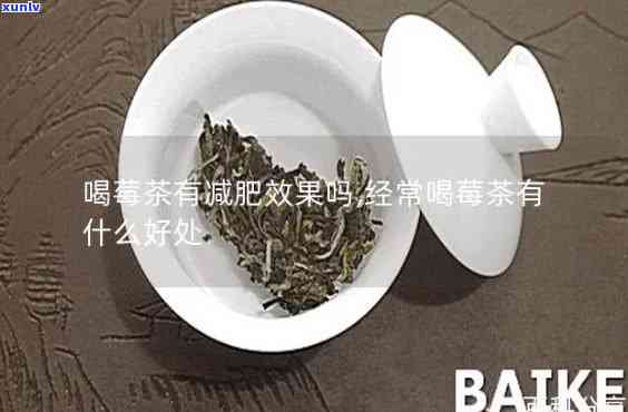 莓茶什么时候喝减肥，莓茶的饮用时间，助力减肥效果翻倍！