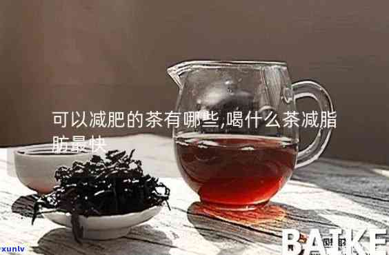 喝哪个茶减肥，哪种茶叶最有助于减肥？