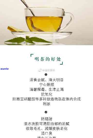 血压高？推荐这三种降压茶！