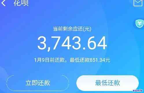 花呗3000六年没还会怎么样，六年间未还清花呗3000元，也许会面临哪些结果？