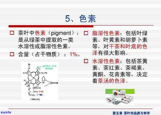 茶色素真的有那么好吗？探究其功效及原因