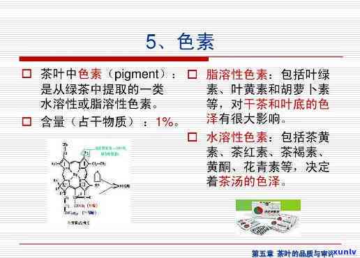 茶色素真的好吗？探讨其功效与作用