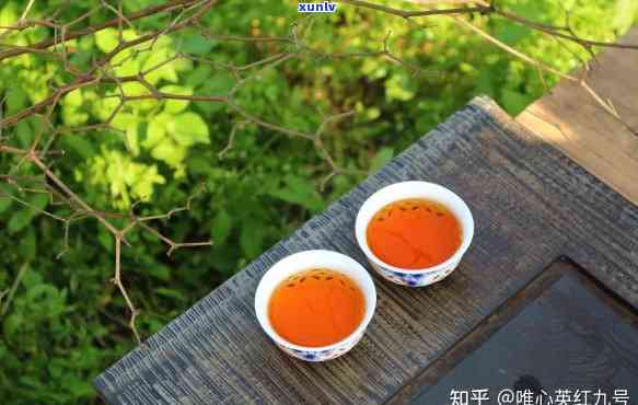 一天喝多少茶比较好-一天喝多少茶比较好呢