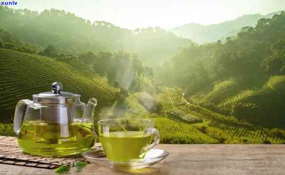 喝什么茶能减肥效果好，探讨有效减肥的茶饮选择：哪些茶叶最适合你？