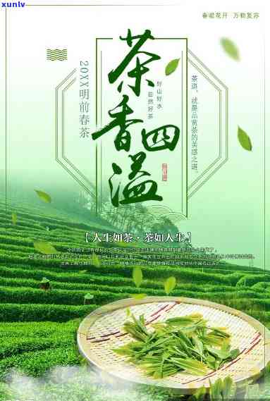 茶是什么越品越精神，茶香四溢，越品越精神：探索茶叶的无穷魅力