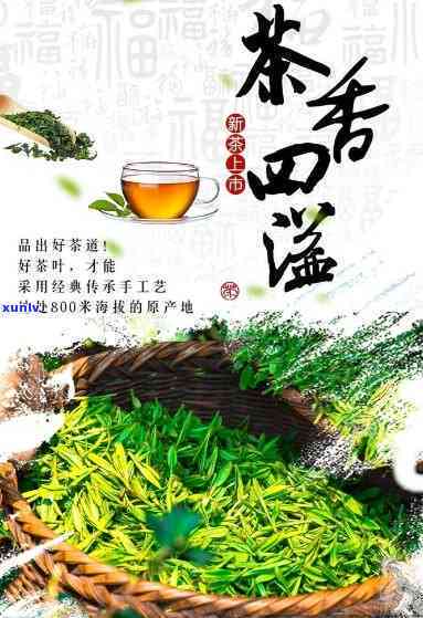 茶是什么越品越精神，茶香四溢，越品越精神：探索茶叶的无穷魅力