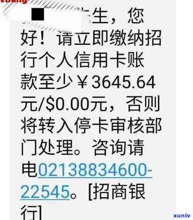 建行停息挂账技巧，独家揭秘：建行停息挂账的实用技巧与策略