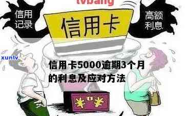 建行信用卡5000逾期3个月有什么结果，警惕！建行信用卡逾期3个月的严重结果