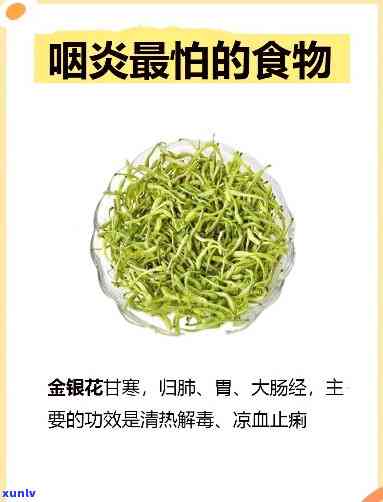 咽炎喝什么茶饮，如何缓解咽炎？试试这些茶饮！