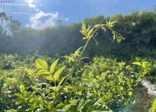 中信逾期三个月后到当地了说不全款还要上诉法，中信逾期三个月，拒绝全额还款，准备诉法律