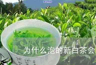 好的新茶喝进去会涩-好的新茶喝进去会涩口吗