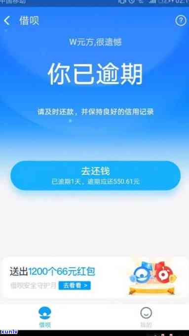 冰翡翠怎么种-冰种翡翠怎么养