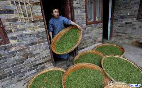 茶水一般多少度：最适合泡茶的水解析