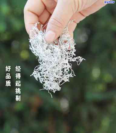 大益普洱茶的供应商：揭秘生产厂商及批发渠道，为您提供全方位选择参考