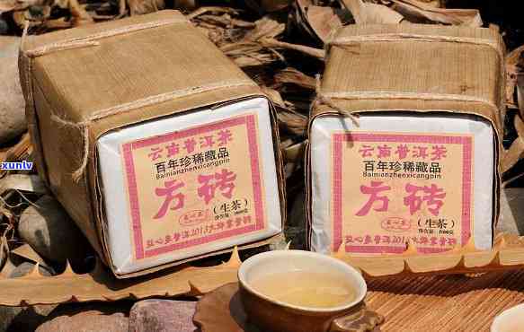 砖茶什么节喝喝，揭秘饮用节：砖茶何时品尝最美味？