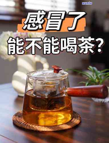 感冒时喝什么茶好，感冒了？试试这些适合感冒时喝的茶！