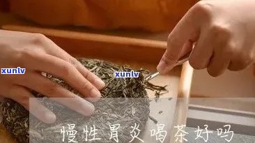 萎缩胃炎喝什么茶，专家推荐：萎缩性胃炎患者适合饮用哪些茶叶？