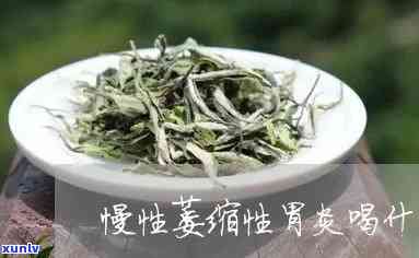 萎缩性胃炎喝啥茶好-萎缩性胃炎喝啥茶好一点