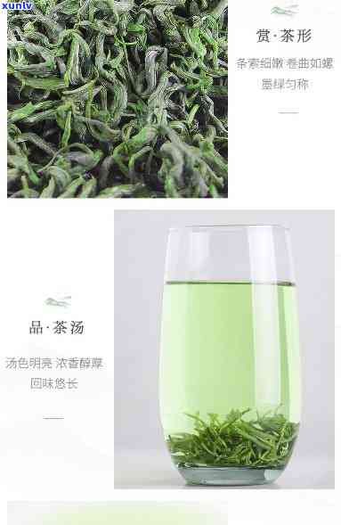 藤茶什么时候出新茶，2023年藤茶新茶上市时间预测